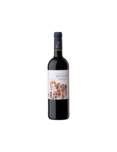 CASTILLO BENIZAR TINTO (12...